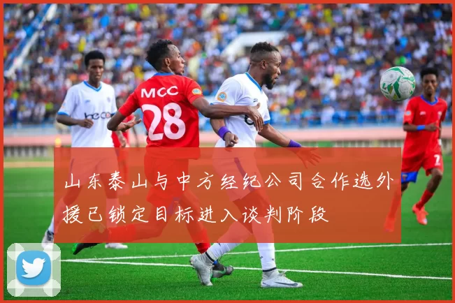 山东泰山与中方经纪公司合作选外援已锁定目标进入谈判阶段